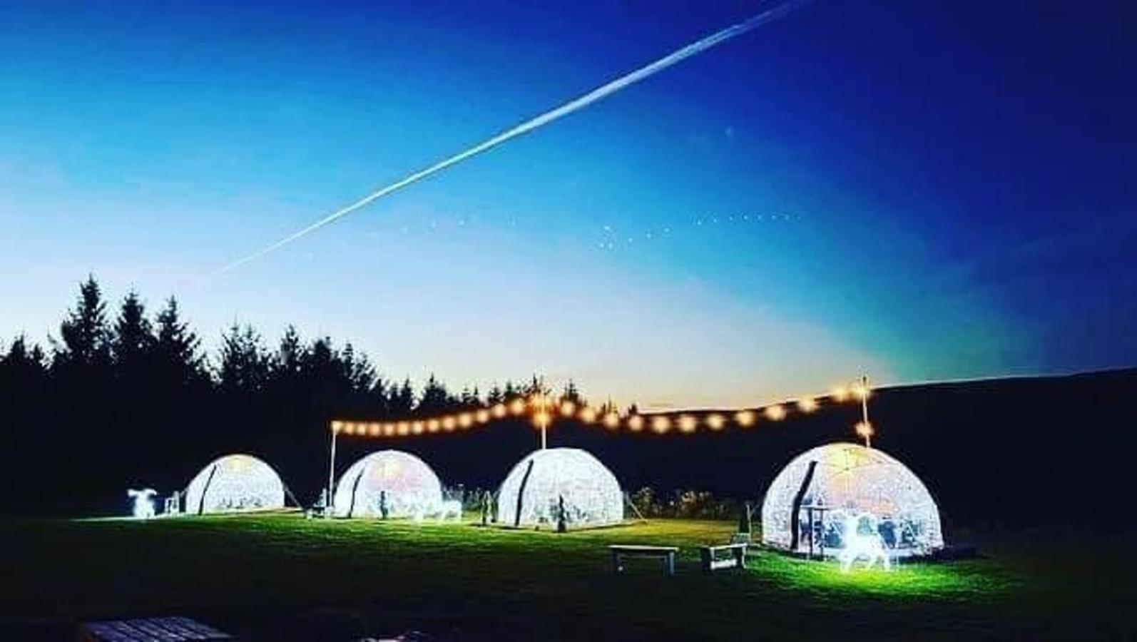 Afan Forest Retreat Cozy Getaway, Pet Friendly Cymmer Екстер'єр фото